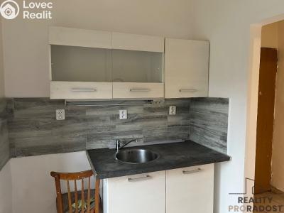 Pronájem bytu 1+1 Chabařovice, V Aleji č. 2