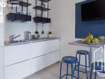 Pronájem bytu 1+KK Praha, Olšanská č. 5