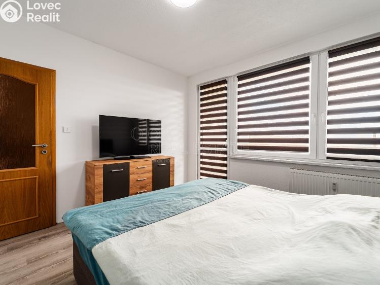 Prodej bytu 3+1 Planá, Fučíkova č. 5