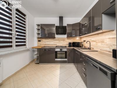 Prodej bytu 3+1 Planá, Fučíkova č. 1