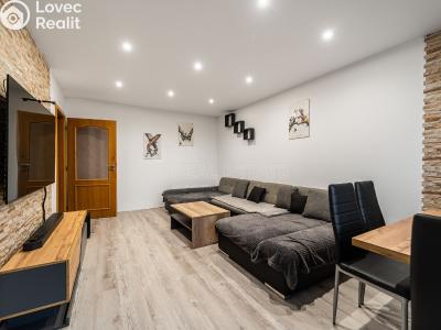 Prodej bytu 3+1 Planá, Fučíkova č. 3