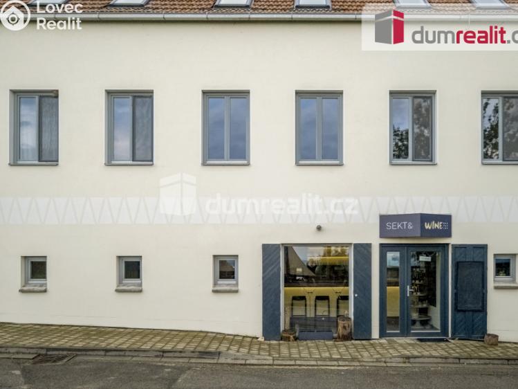 Prodej obchodního prostoru Pavlov, Česká č. 1
