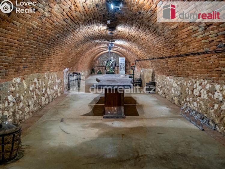 Prodej obchodního prostoru Pavlov, Česká č. 3