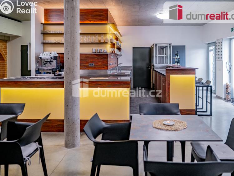 Prodej obchodního prostoru Pavlov, Česká č. 7