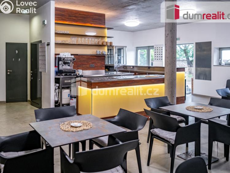 Prodej obchodního prostoru Pavlov, Česká č. 8