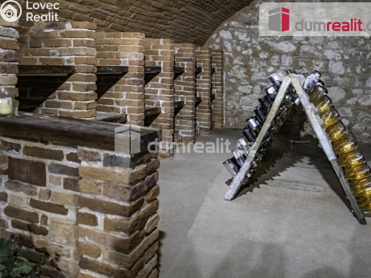 Prodej obchodního prostoru Pavlov, Česká č. 10