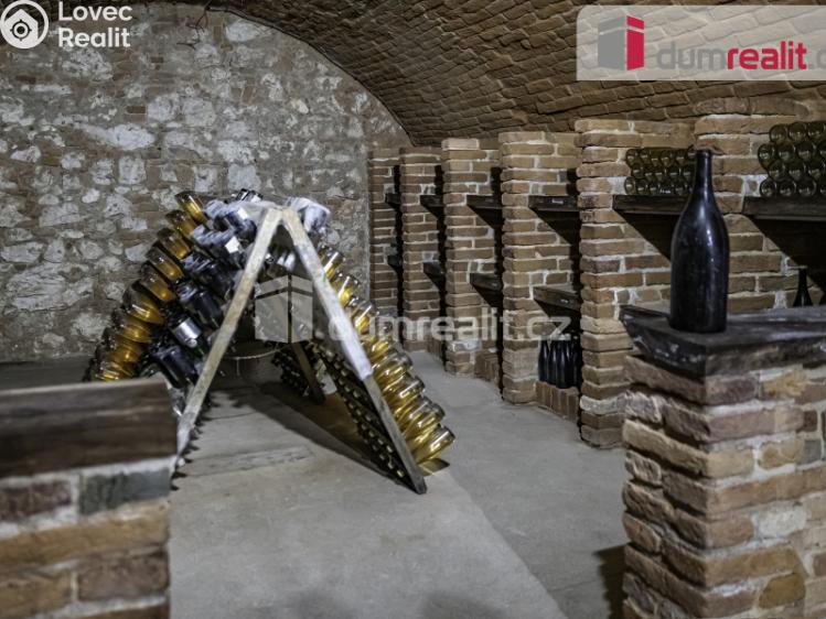 Prodej obchodního prostoru Pavlov, Česká č. 11