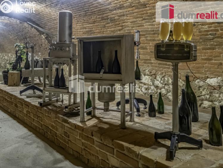 Prodej obchodního prostoru Pavlov, Česká č. 13