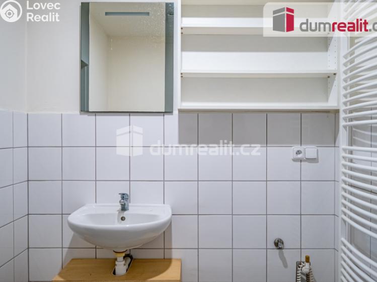 Prodej obchodního prostoru Pavlov, Česká č. 15