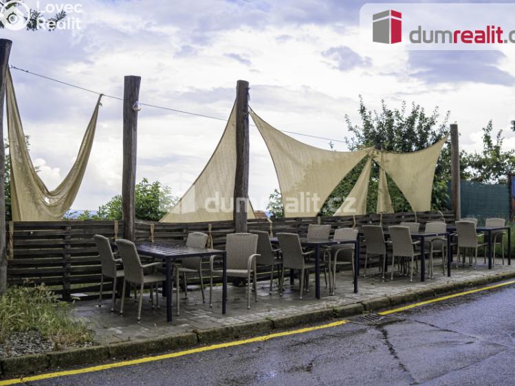 Prodej obchodního prostoru Pavlov, Česká č. 17