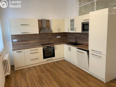 Pronájem bytu 2+1 Vyškov, Jana Šoupala č. 3