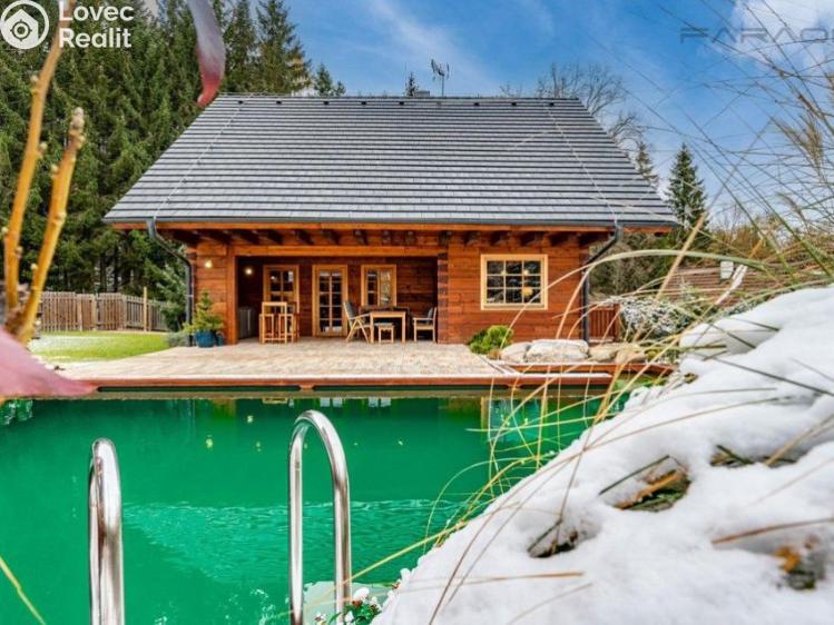 Prodej obchodního prostoru Borotín č. 19