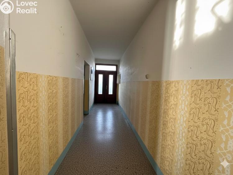 Продажа многогенного дом Vincencov č. 14