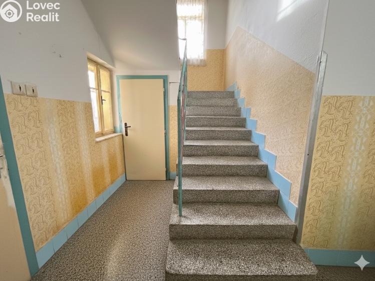 Продажа многогенного дом Vincencov č. 15