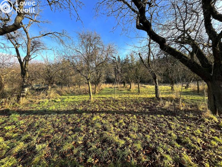 Продажа многогенного дом Vincencov č. 31