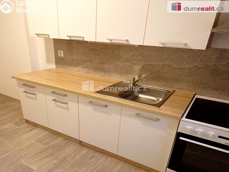 Pronájem bytu 1+1 Děčín, Žerotínova č. 2