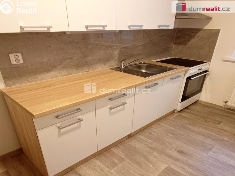 Pronájem bytu 1+1 Děčín, Žerotínova č. 3