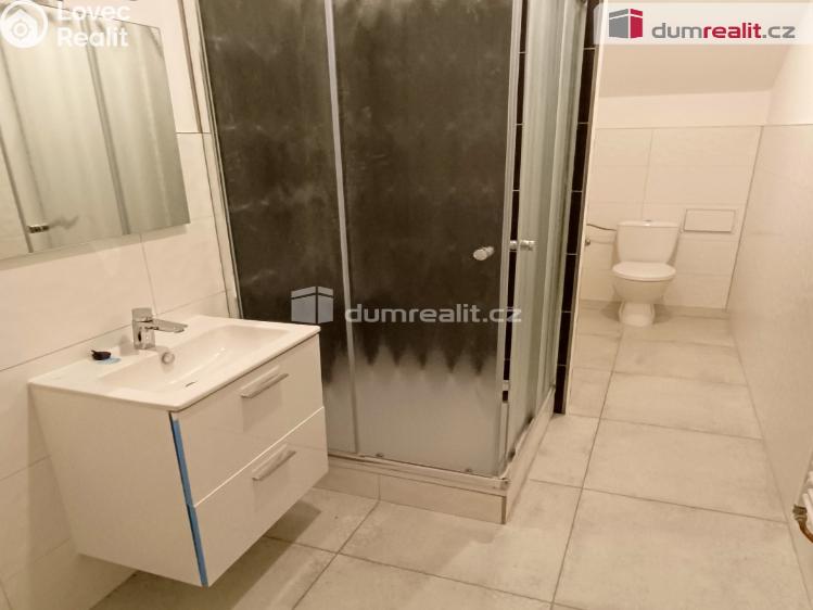 Pronájem bytu 1+1 Děčín, Žerotínova č. 9