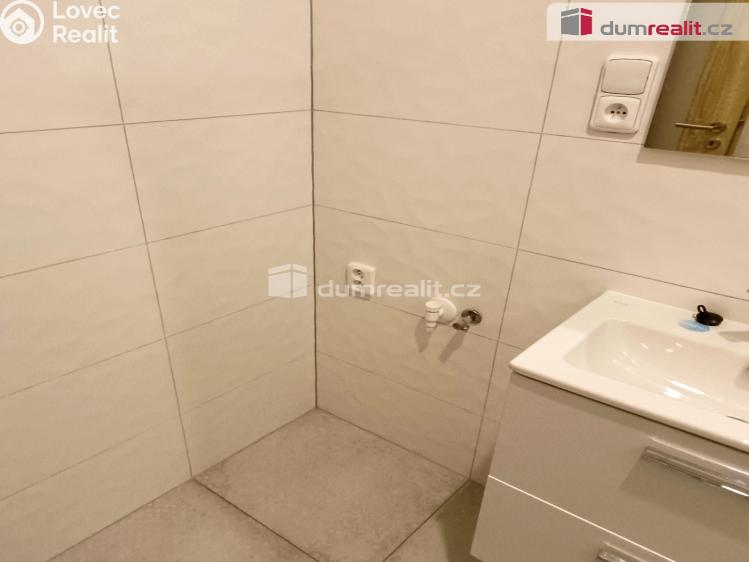 Pronájem bytu 1+1 Děčín, Žerotínova č. 10