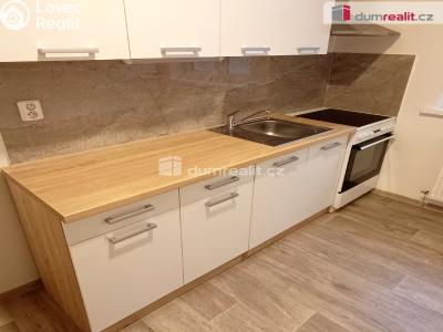 Pronájem bytu 1+1 Děčín, Žerotínova č. 3