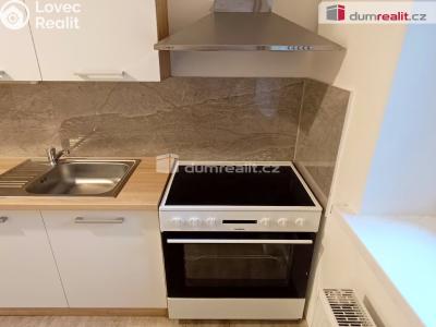 Pronájem bytu 1+1 Děčín, Žerotínova č. 4