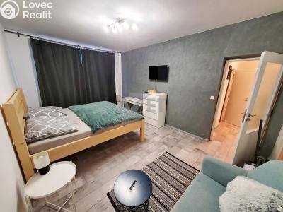 Pronájem bytu 1+1 Ostrava, Bohumínská č. 2