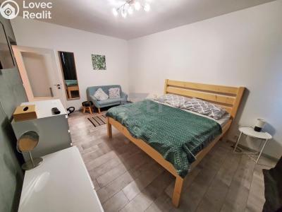 Pronájem bytu 1+1 Ostrava, Bohumínská č. 5