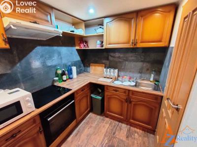 Pronájem bytu 1+1 Chomutov, Dobrovského 3227 č. 1