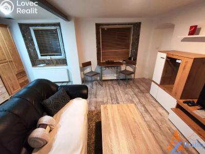 Pronájem bytu 1+1 Chomutov, Dobrovského 3227 č. 3