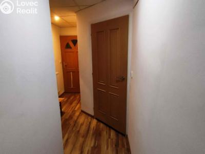 Pronájem bytu 1+1 Chomutov, Dobrovského 3227 č. 5