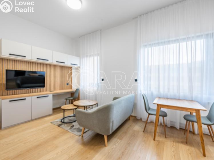 Rent apartment 1+KK Praha, Pobřežní č. 2