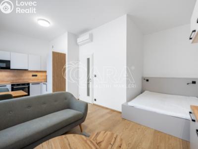 Аренда квартиры 1+KK Praha, Pobřežní č. 6