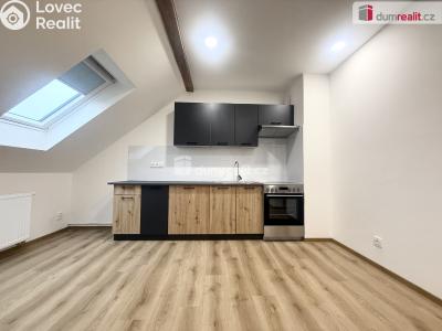 Pronájem bytu 4+1 Ústí nad Labem, Zahradní č. 1