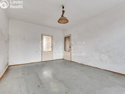 Prodej rodinného domu Nečtiny č. 2