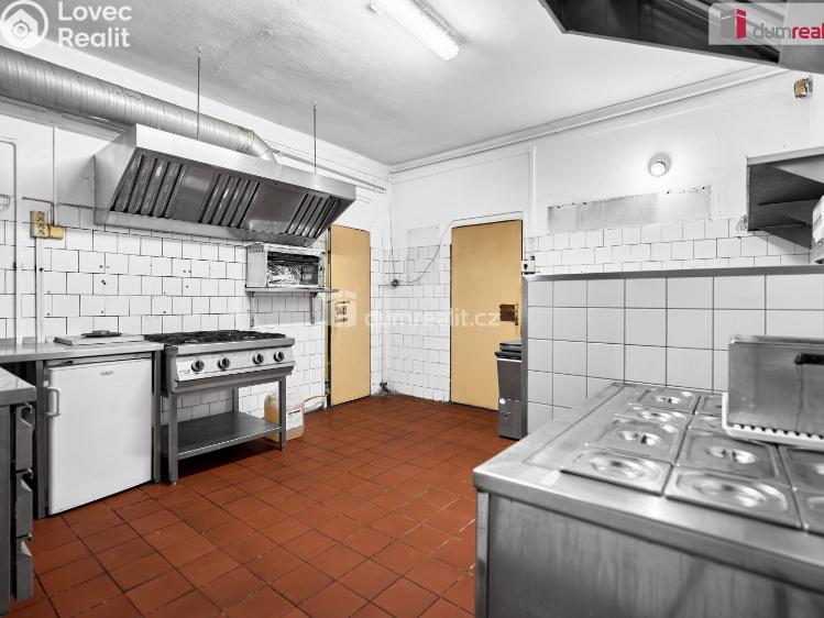 Продаж сімейного будинку Karlovy Vary, Dlouhá č. 16