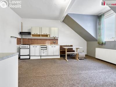 Prodej rodinného domu Karlovy Vary, Dlouhá č. 5