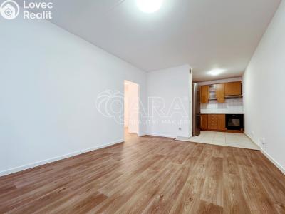 Pronájem bytu 2+KK Praha, U pramene č. 1