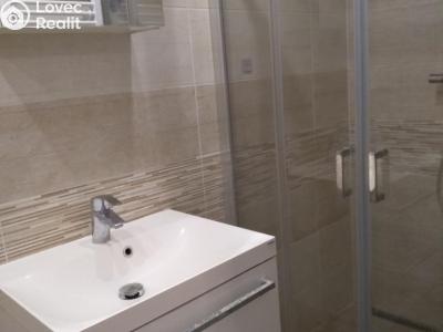Pronájem bytu 5+KK Přelouč č. 4