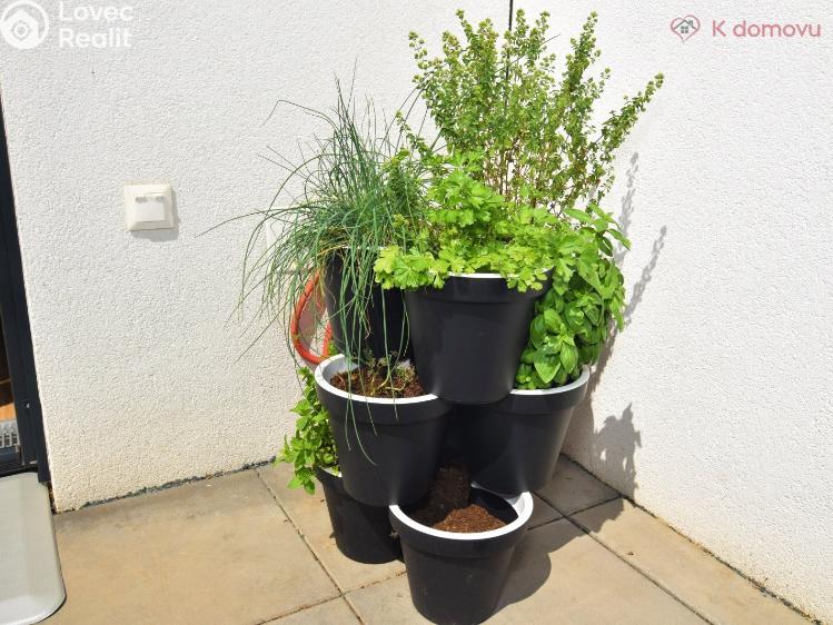 Оренда сімейного будинку Brno, Dubová 1031/4 č. 33