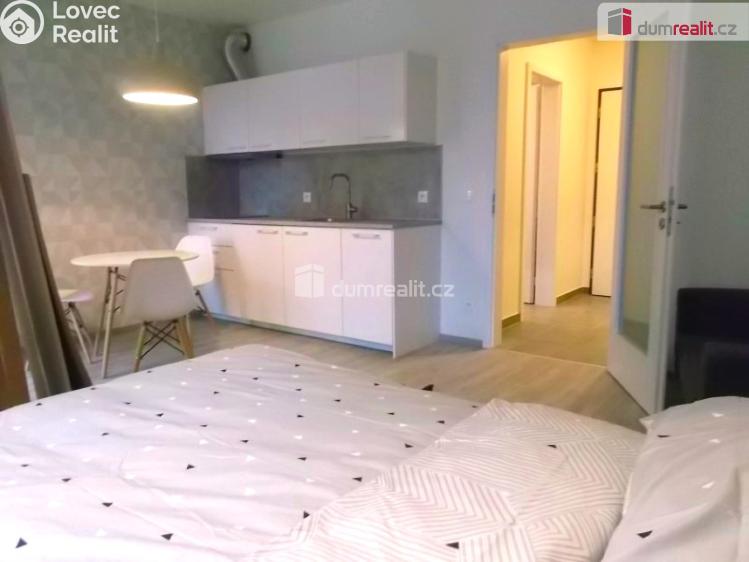 Pronájem bytu 1+KK Praha 9, Strnadových č. 3