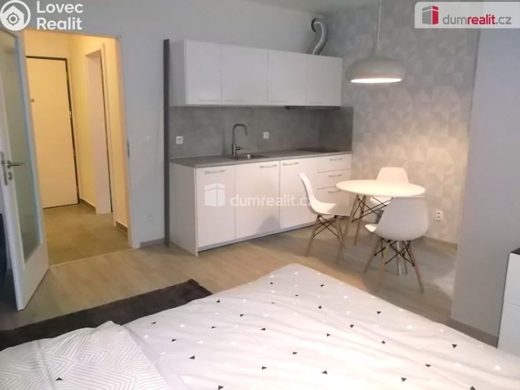 Pronájem bytu 1+KK Praha 9, Strnadových č. 6