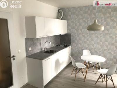 Pronájem bytu 1+KK Praha 9, Strnadových č. 1