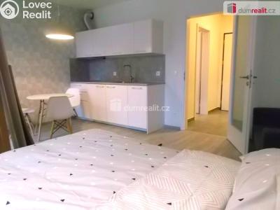 Pronájem bytu 1+KK Praha 9, Strnadových č. 3