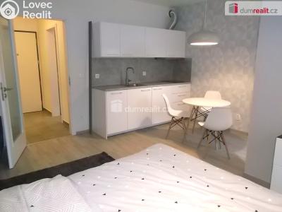 Pronájem bytu 1+KK Praha 9, Strnadových č. 6