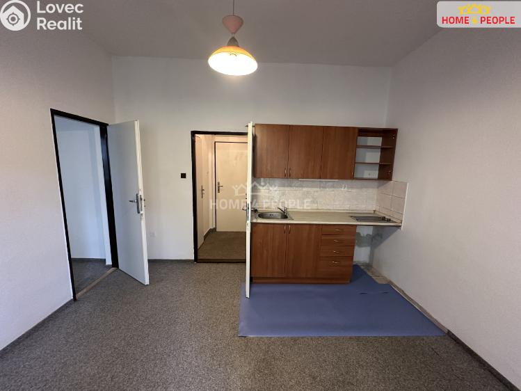 Pronájem bytu 1+1 Praha 7, Přístavní č. 1