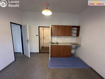 Pronájem bytu 1+1 Praha 7, Přístavní č. 1