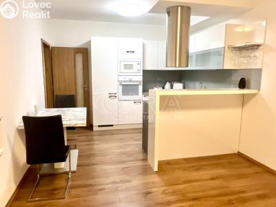 Pronájem bytu 2+KK Plzeň, U Velkého rybníka č. 2