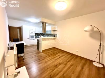 Pronájem bytu 2+KK Plzeň, U Velkého rybníka č. 4