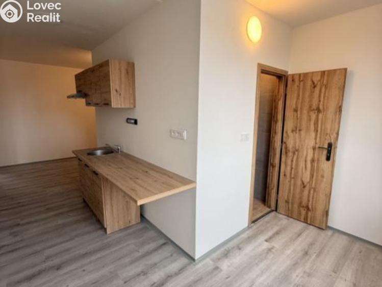 Prodej bytu 2+1 Chomutov, Kamenná č. 3