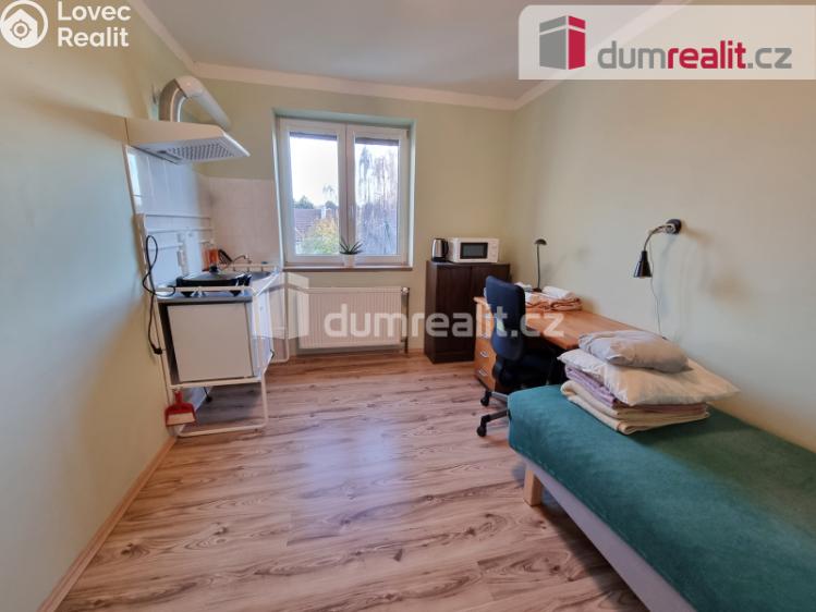 Pronájem bytu 1+KK Kralupy nad Vltavou, Čechova č. 4